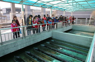 環保公眾開放日第一站 走進污水處理廠 看污水如何變清水